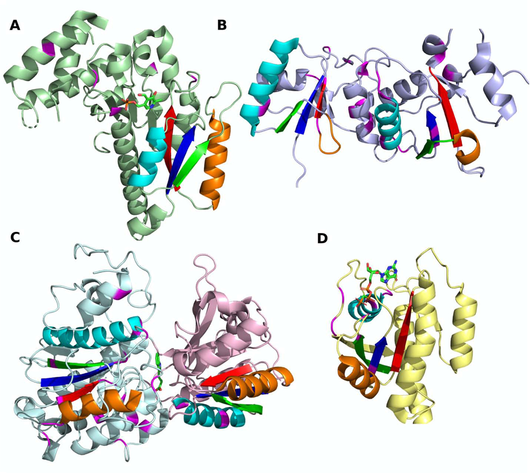 Fig 12.