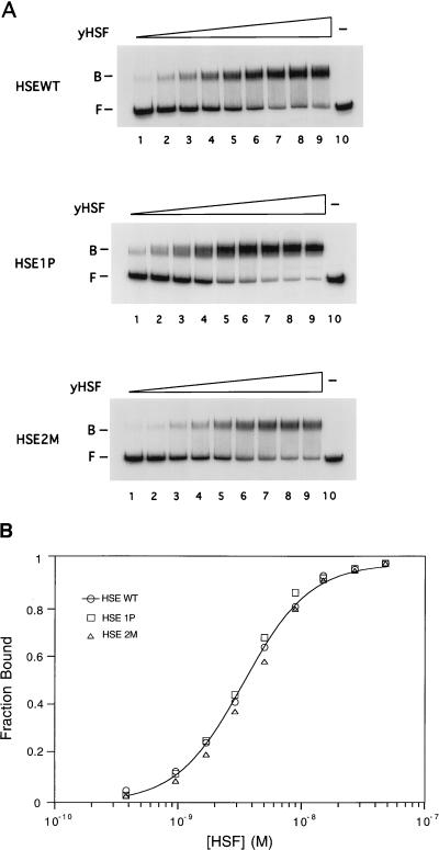 FIG. 5