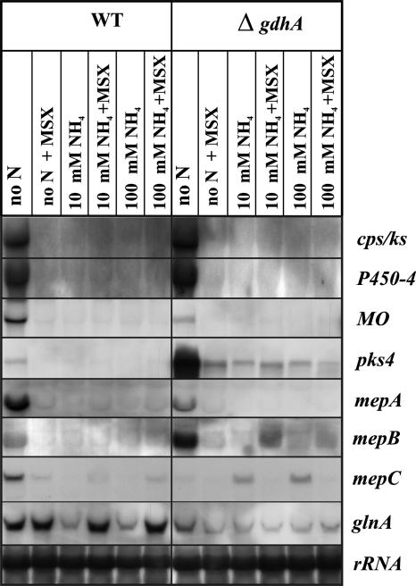 FIG. 10.