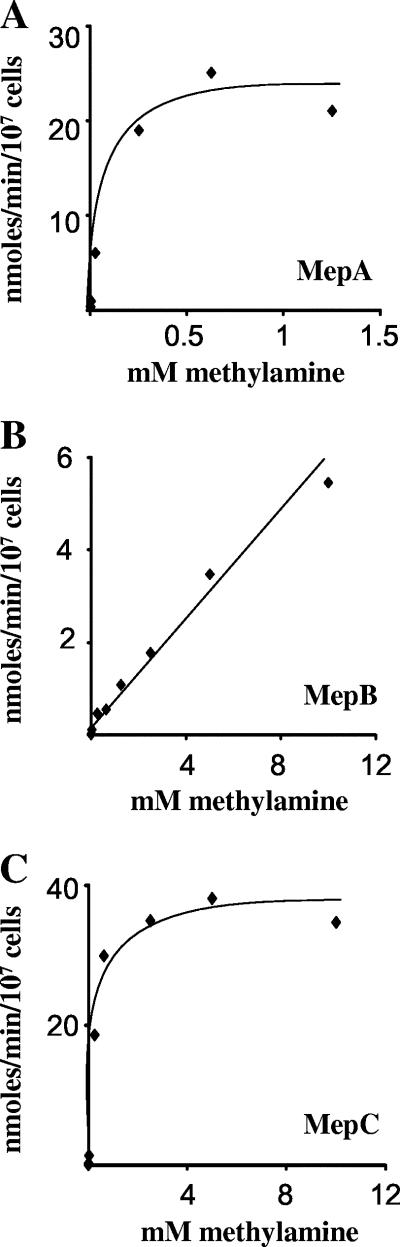 FIG. 5.