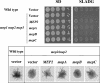 FIG. 4.