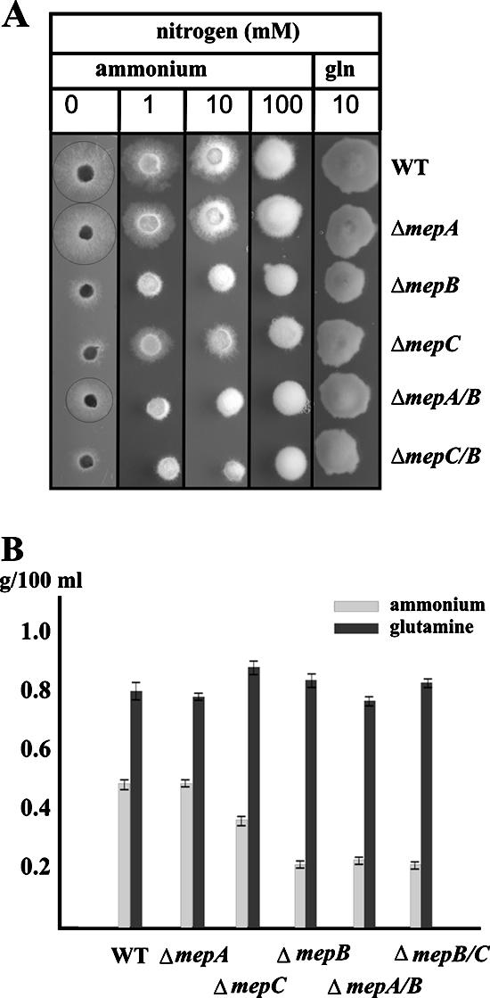 FIG. 7.