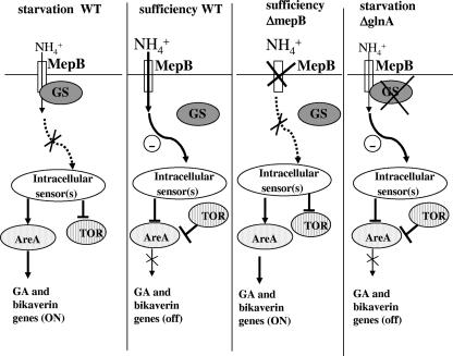 FIG. 12.