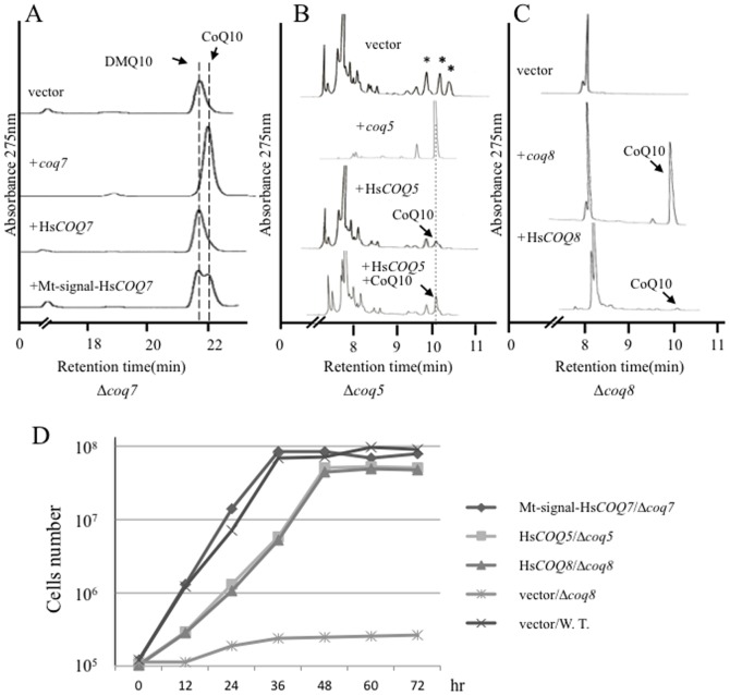 Figure 7