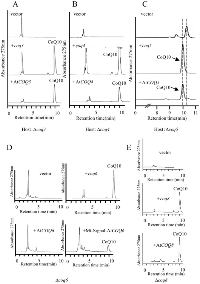 Figure 9