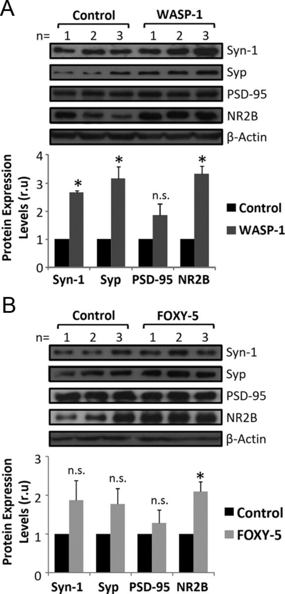 Figure 5.