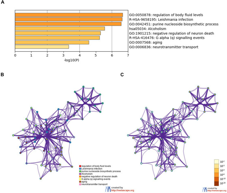 FIGURE 2