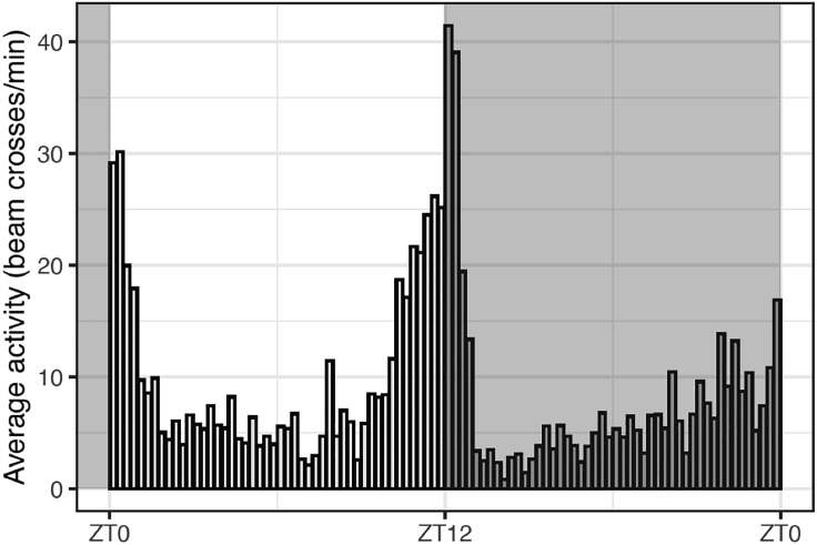 Figure 2