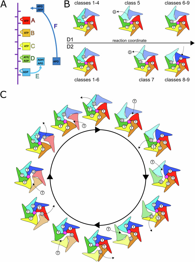 Fig. 4