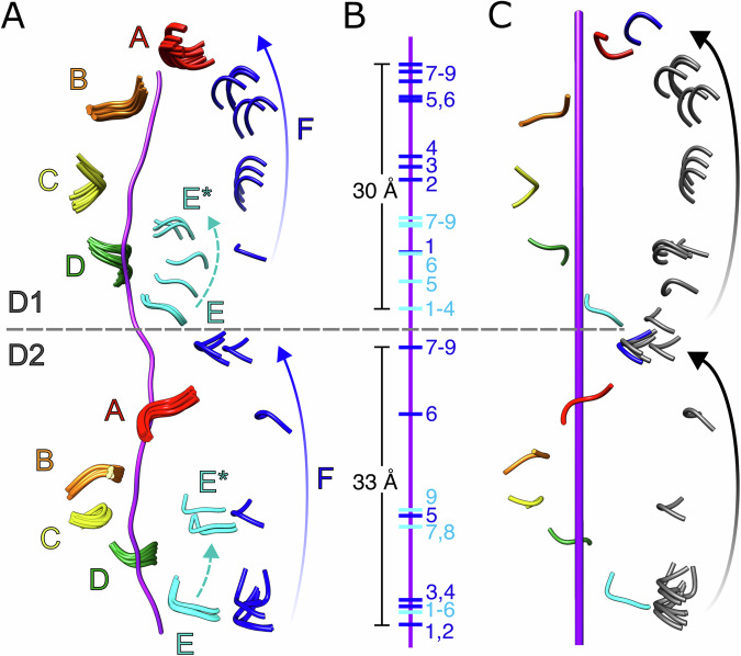 Fig. 2