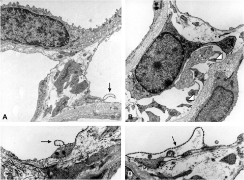 Fig. 9.