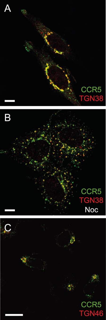 FIGURE 3.