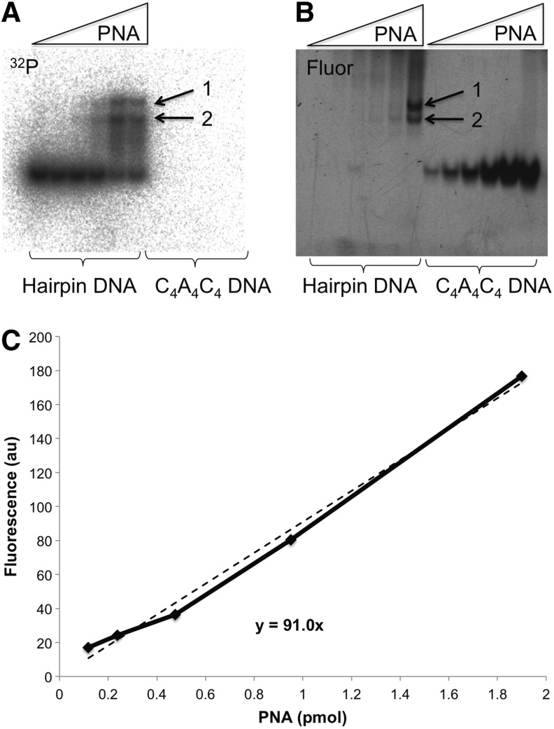 FIG. 3.