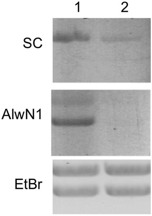 FIG. 6.