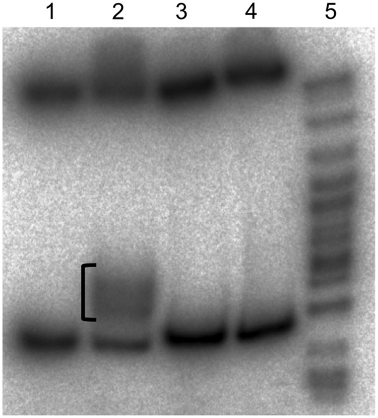 FIG. 7.