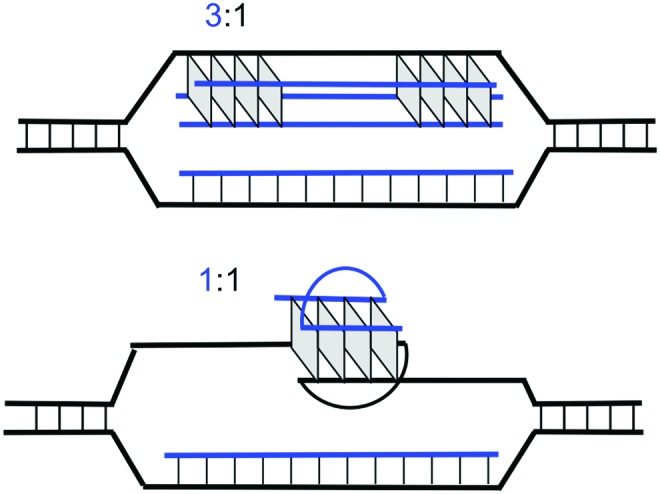 FIG. 8.