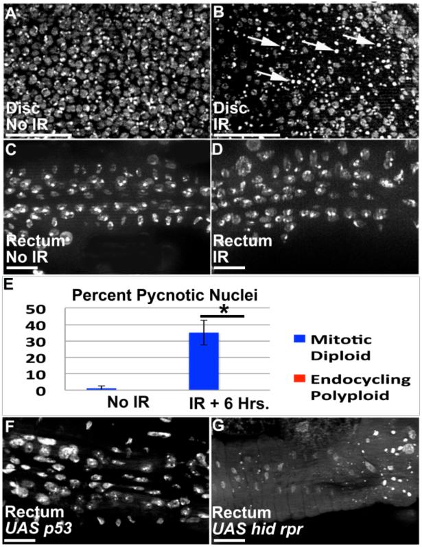 Figure1