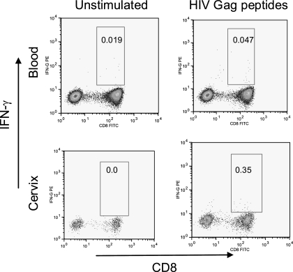 FIG. 2.