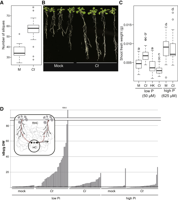 Figure 3