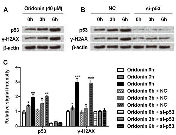 Figure 6.