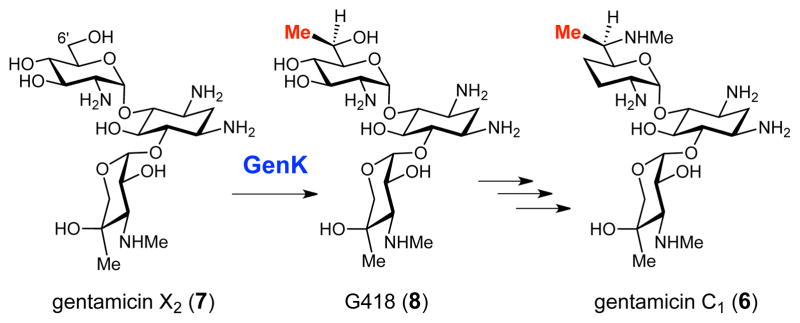 Scheme 2