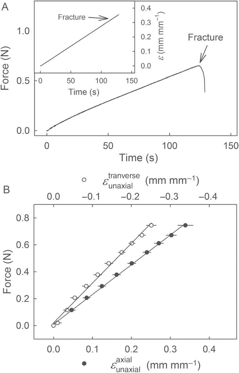 Figure 2.