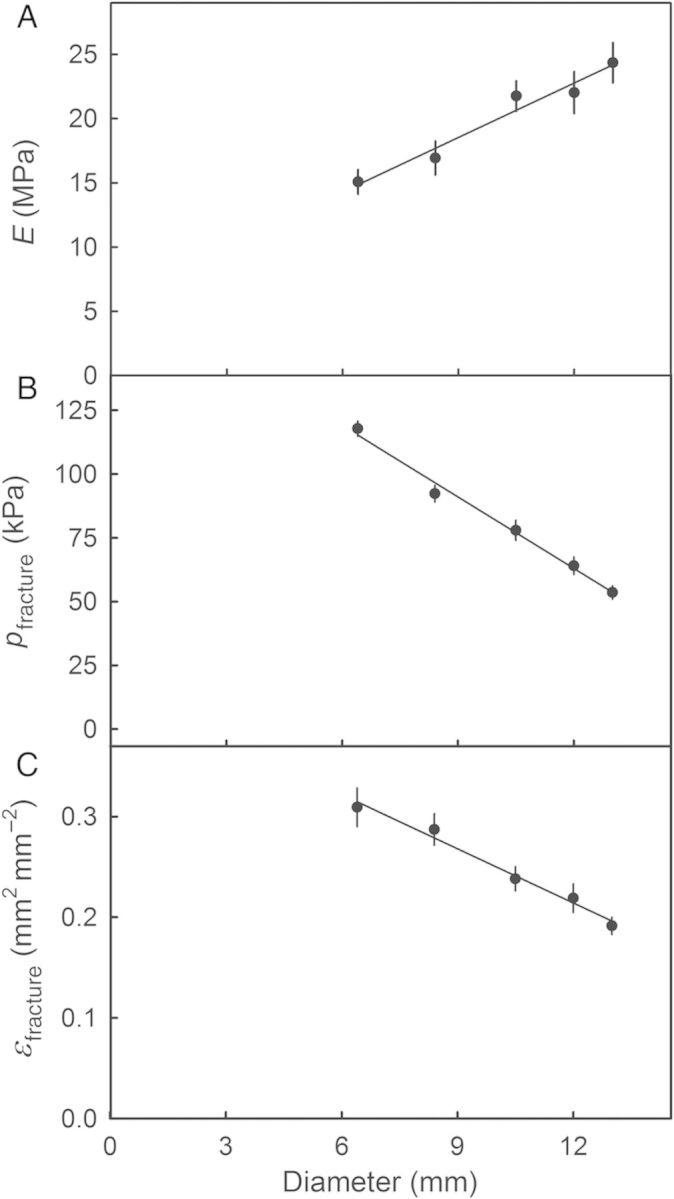 Figure 7.