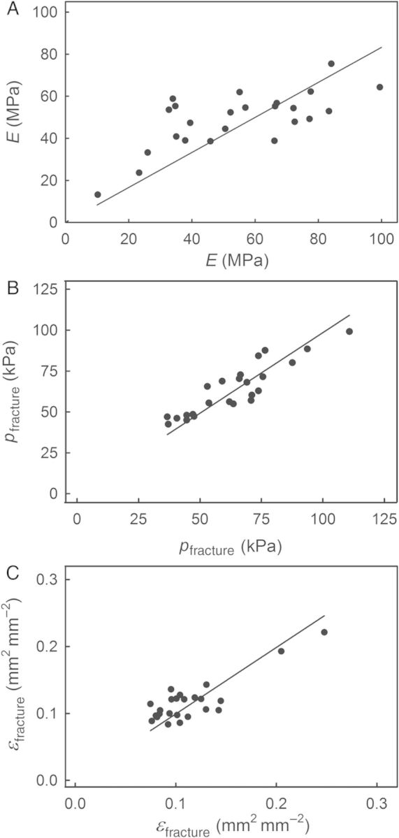 Figure 5.