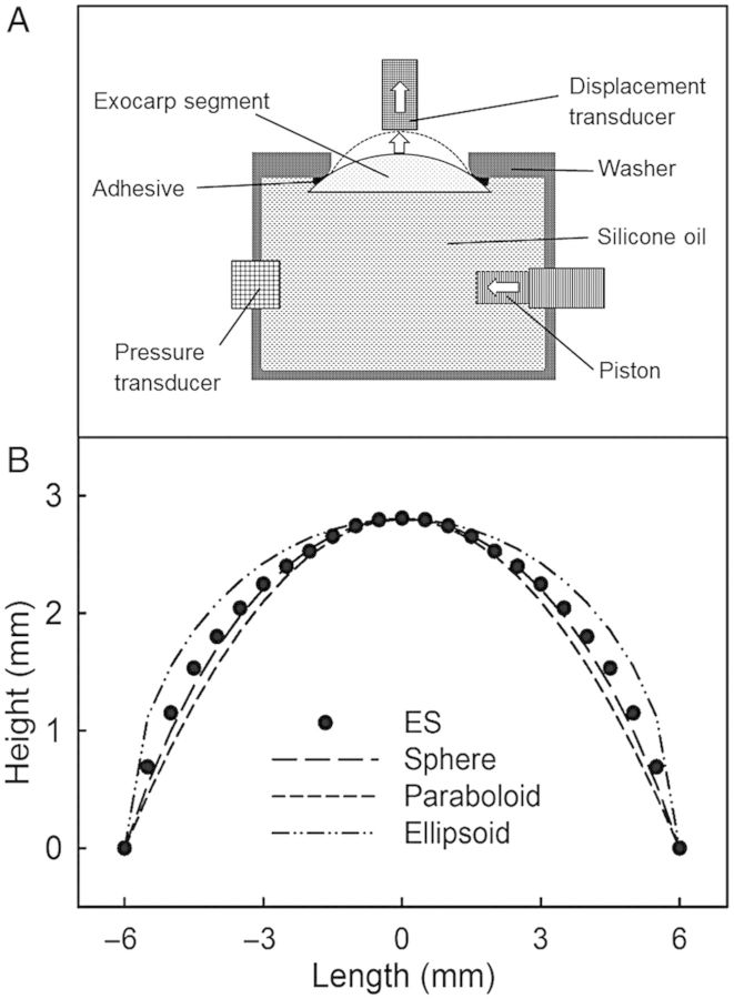 Figure 1.