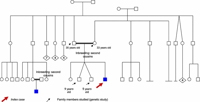 Fig. 2