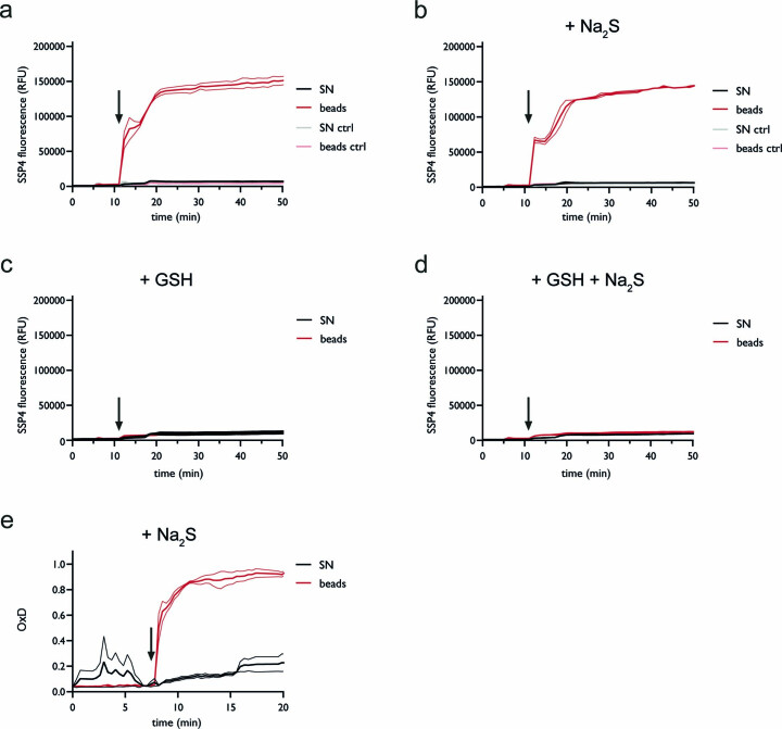 Extended Data Fig. 6