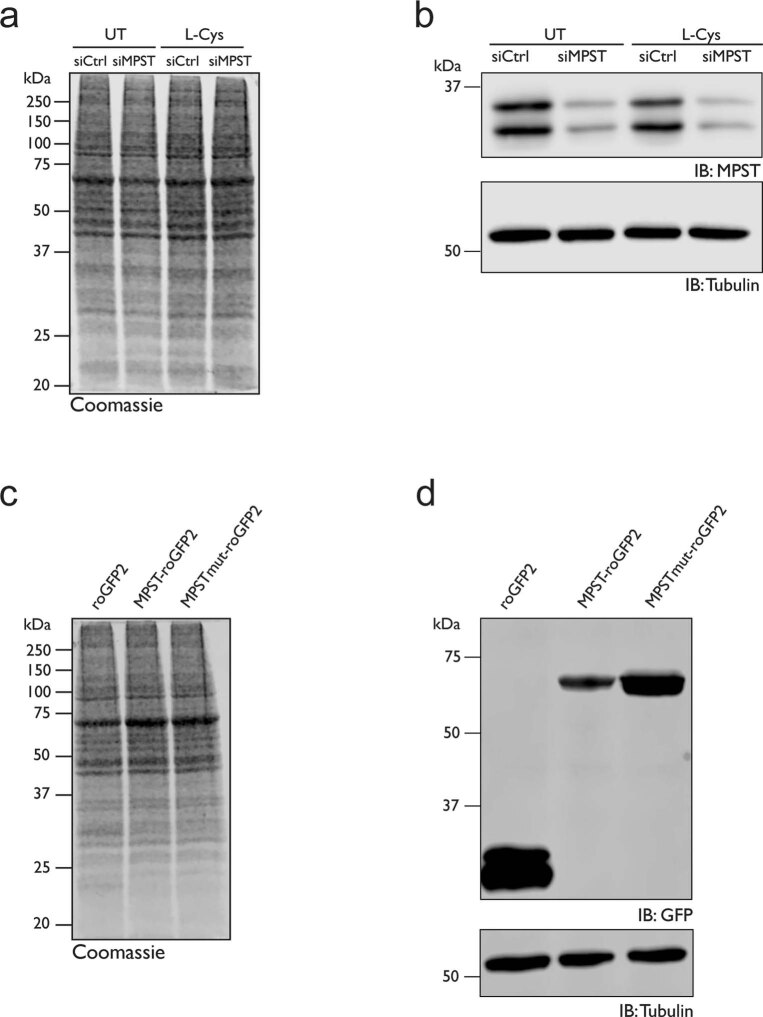 Extended Data Fig. 7