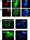 FIG. 7.