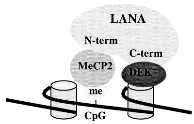 FIG. 8.