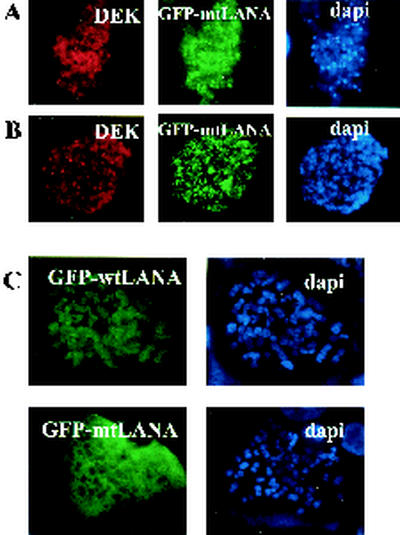 FIG. 7.