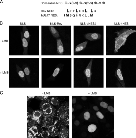 FIG. 5.