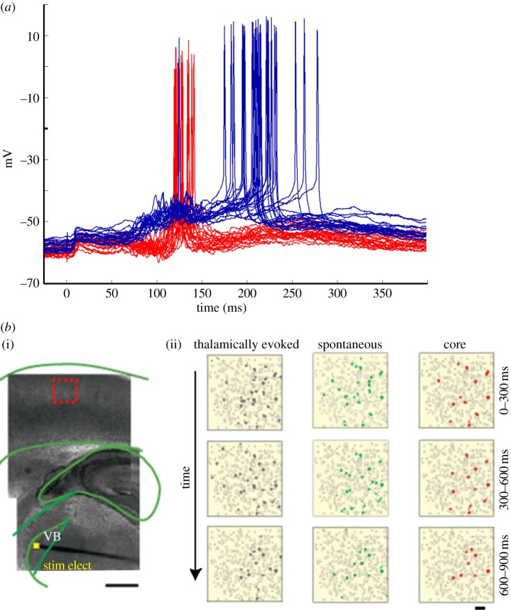 Figure 4.