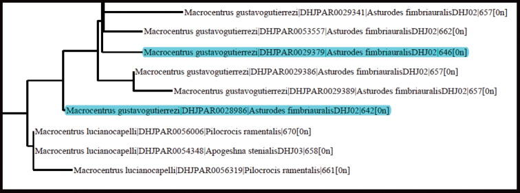 Figure 2.