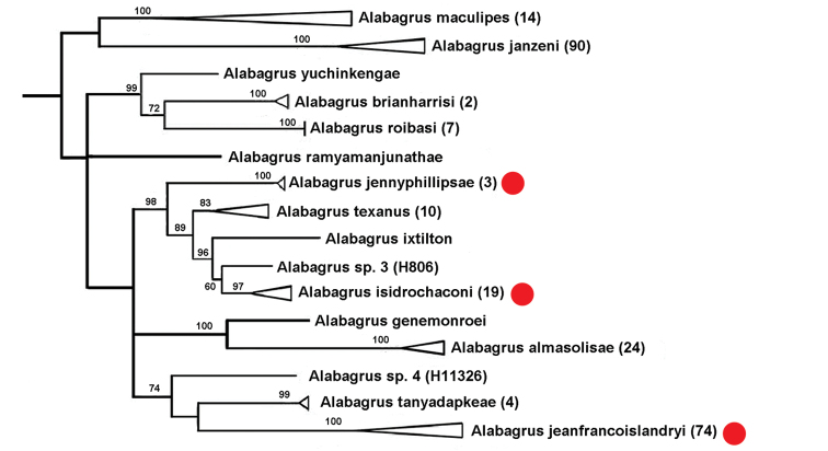 Figure 4.