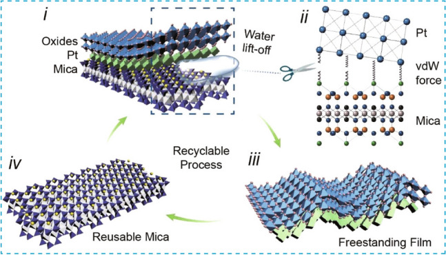 graphic file with name 40820_2023_1105_Figa_HTML.jpg