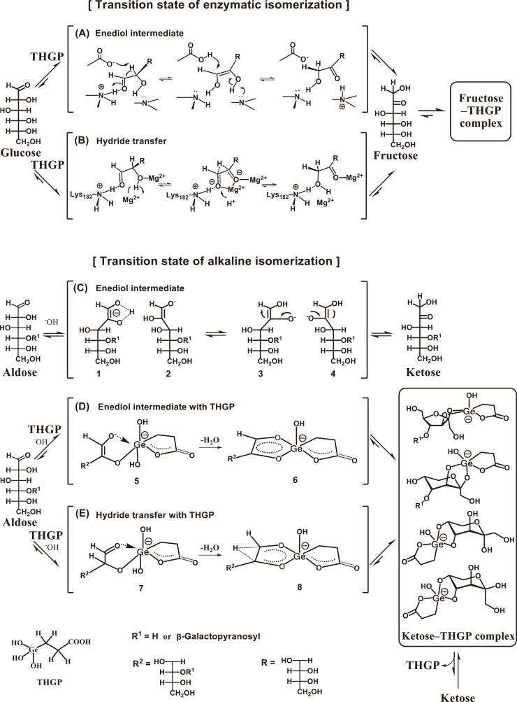 Fig. 11.