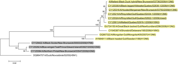 Figure 6