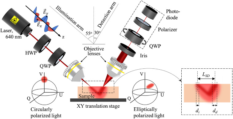 Fig. 1