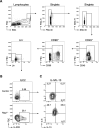 Figure 1—figure supplement 1.