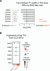 Figure 7—figure supplement 1.