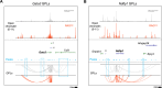 Figure 5—figure supplement 2.