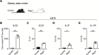 Figure 1—figure supplement 2.