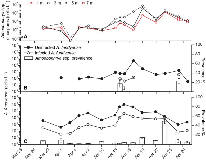 Figure 6