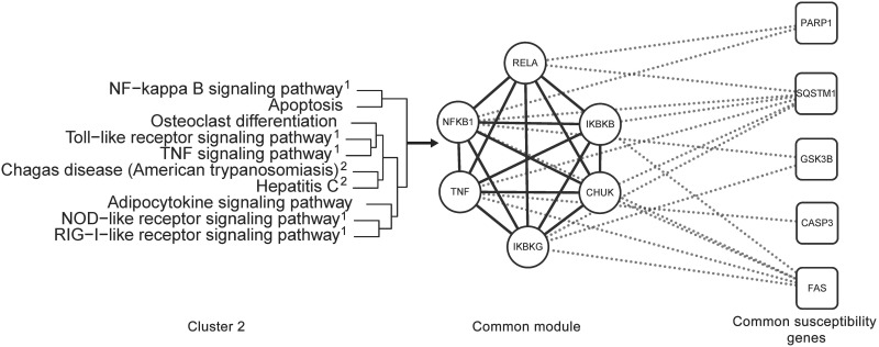 Fig 7