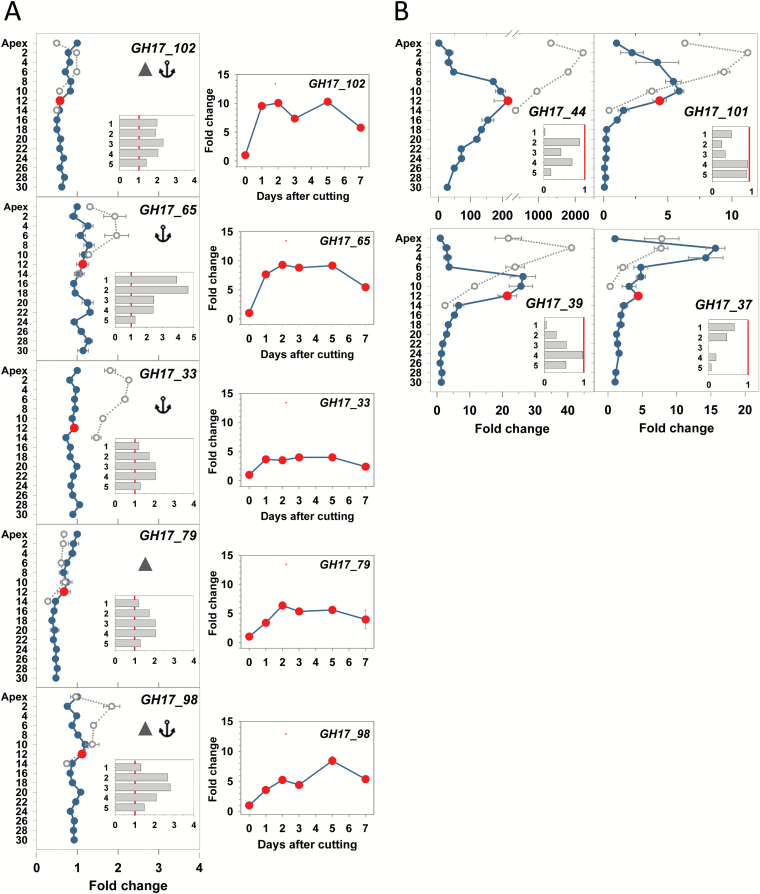 Fig. 4.
